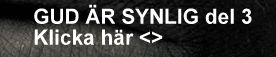 Synlig3.jpg