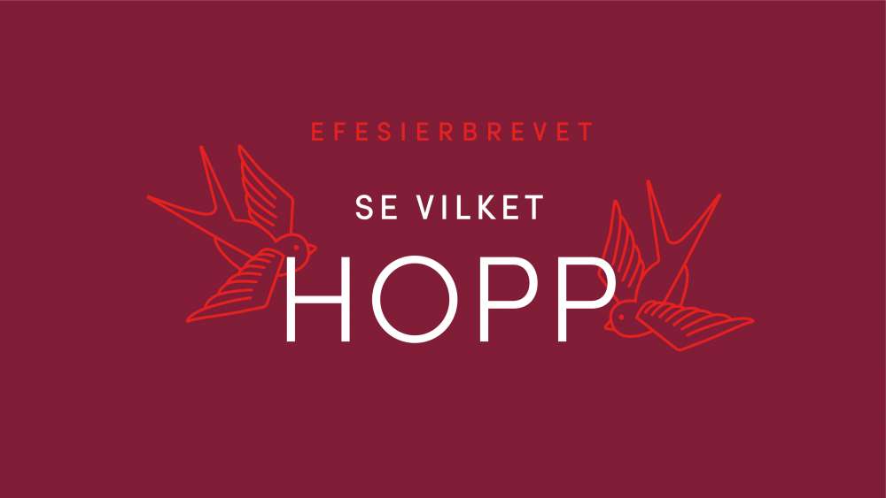 se-vilket-hopp_ef.jpg